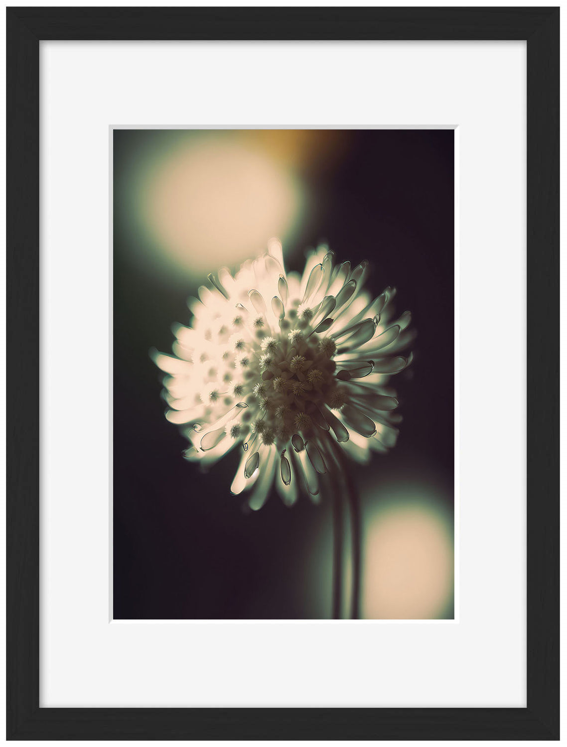 Treechild -  A Glowing Moment