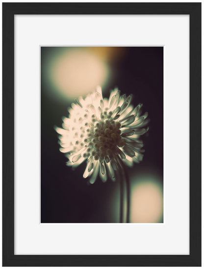 Treechild -  A Glowing Moment