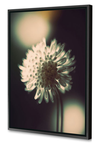 Treechild -  A Glowing Moment