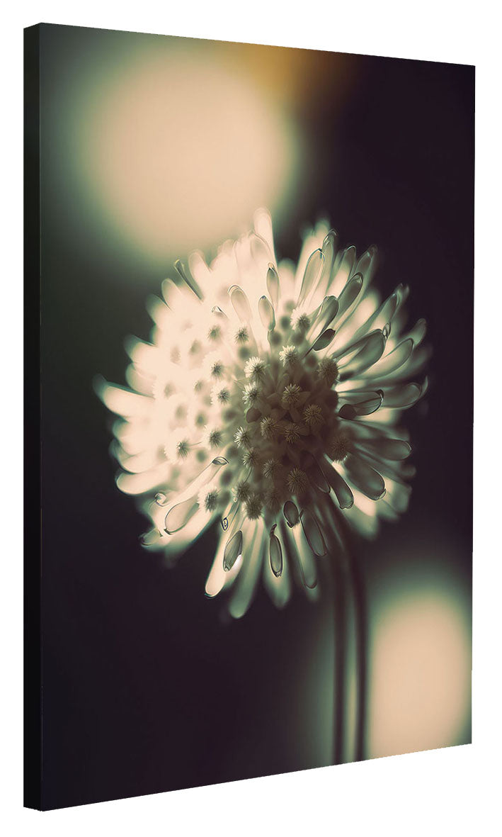 Treechild -  A Glowing Moment