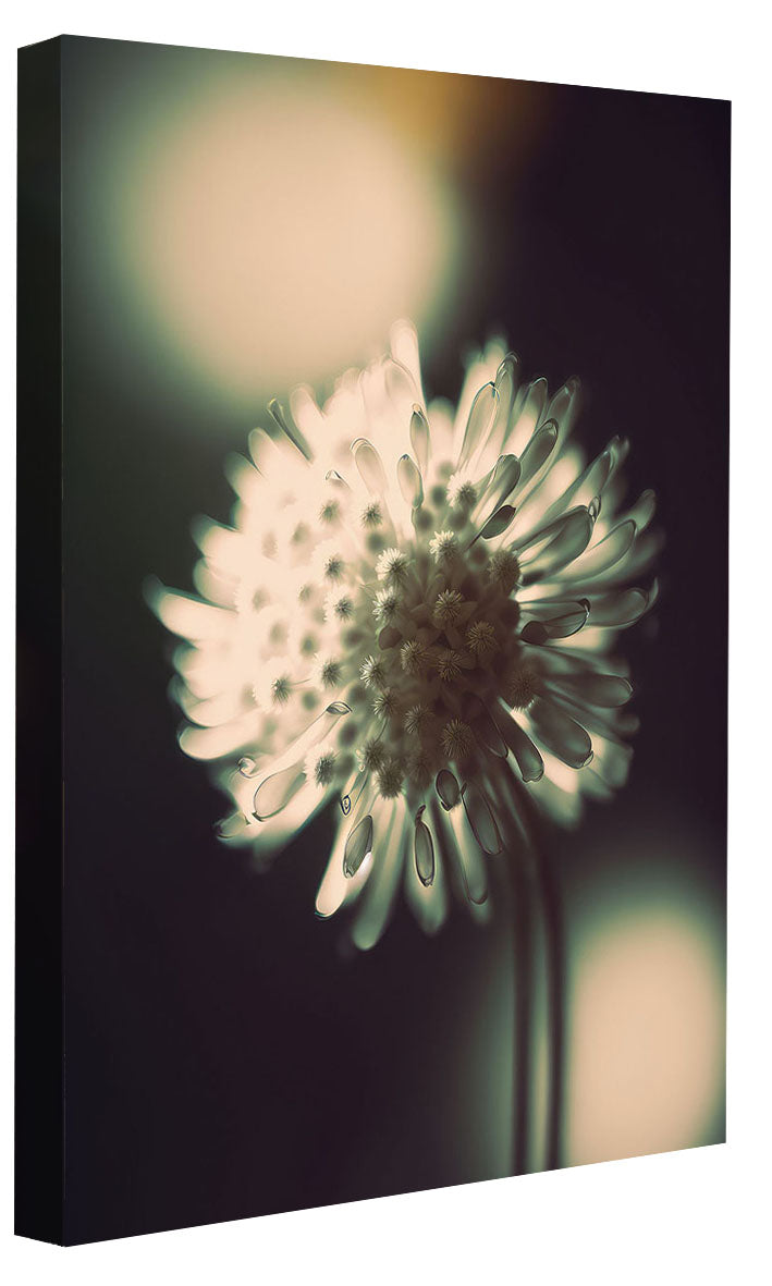 Treechild -  A Glowing Moment