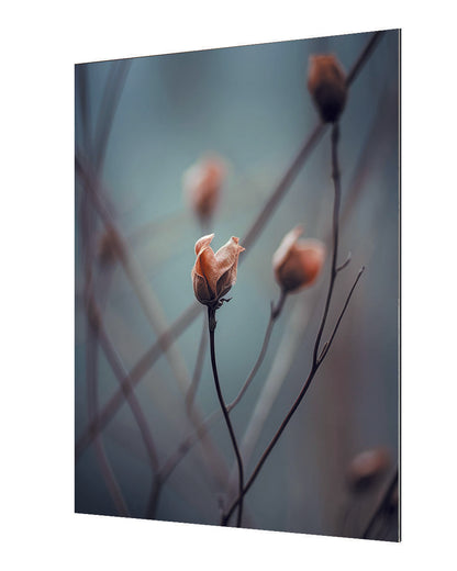 Treechild -  A Wakening Beauty