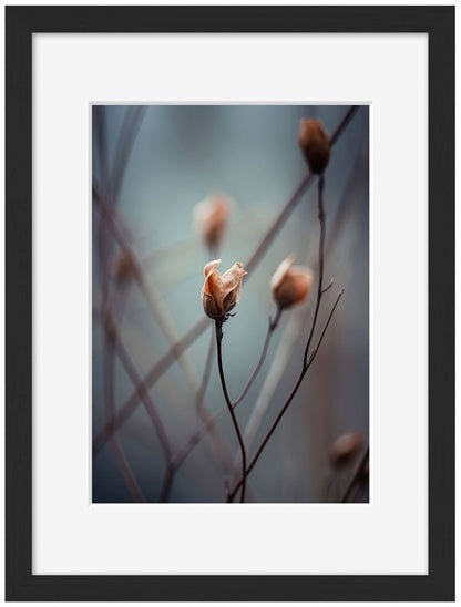 Treechild -  A Wakening Beauty