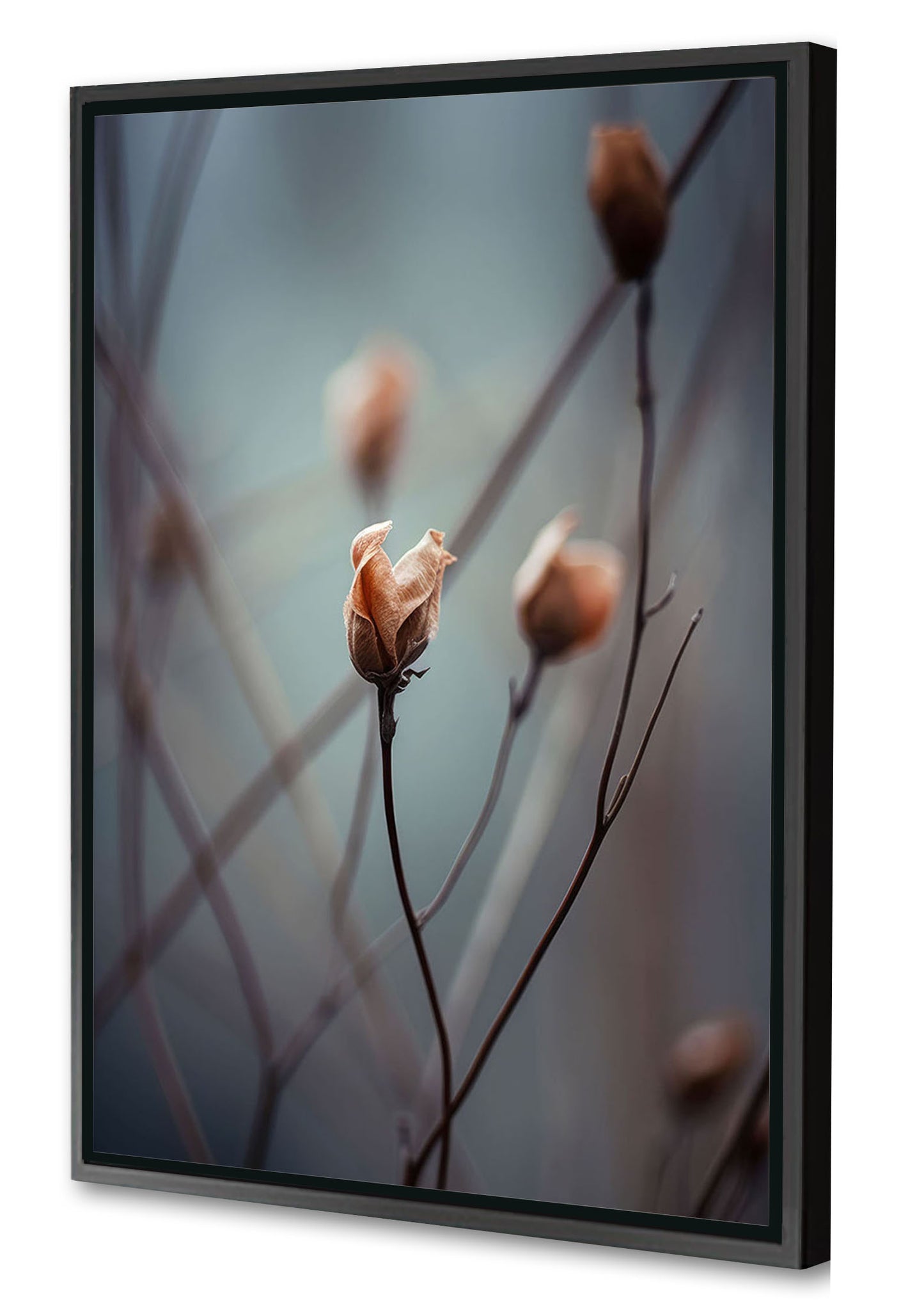 Treechild -  A Wakening Beauty