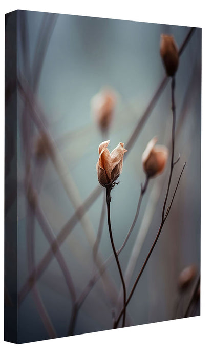 Treechild -  A Wakening Beauty