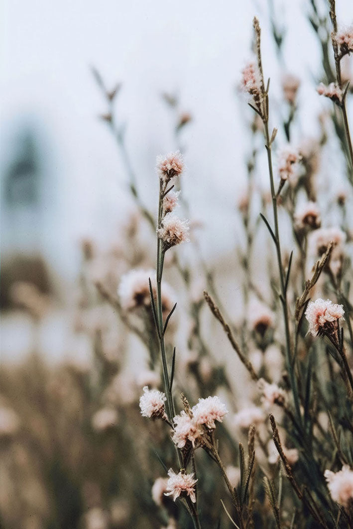 Treechild -  At The Way Side No3